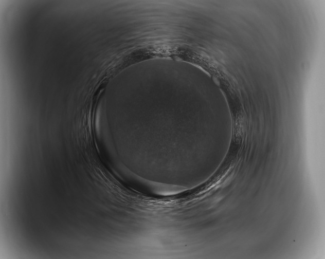X0000088851202200706081128