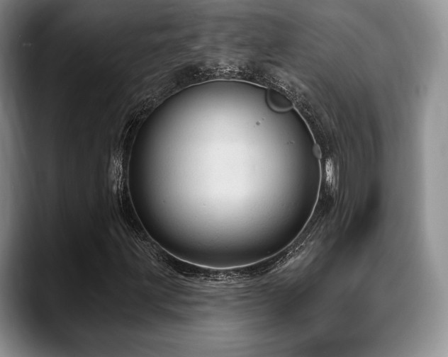 X0000088851203200706081128