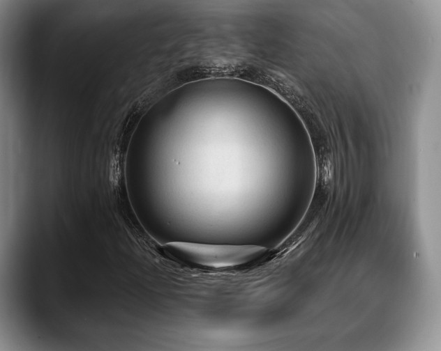 X0000088851204200706081128