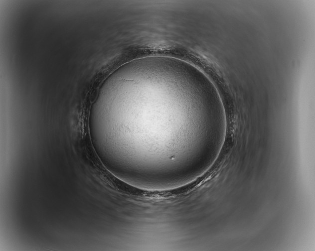 X0000088851205200706081128