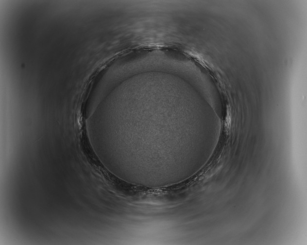 X0000088851206200706081128