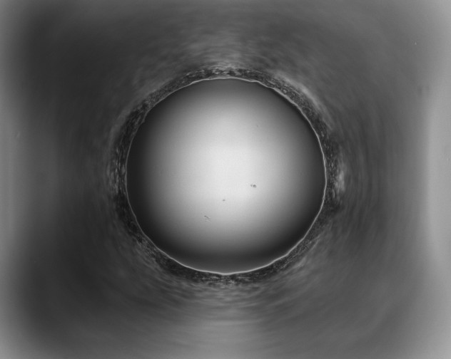 X0000088851207200706081128