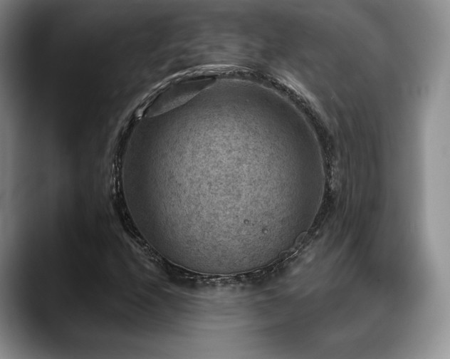 X0000088851208200706081128