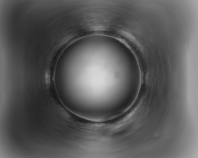 X0000088851209200706081128