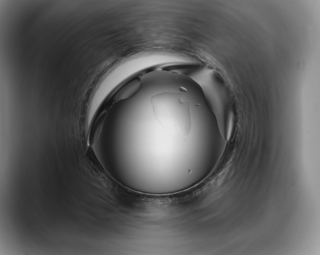 X0000088851210200706081128