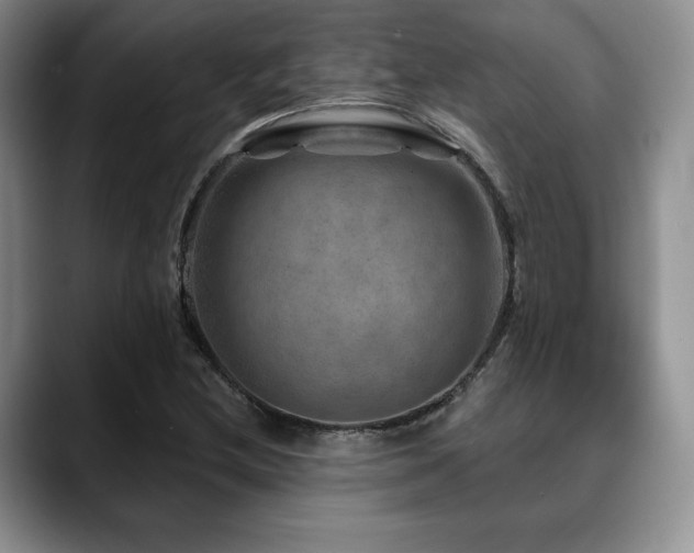 X0000088851212200706081128