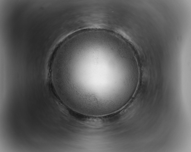 X0000088851215200706081128