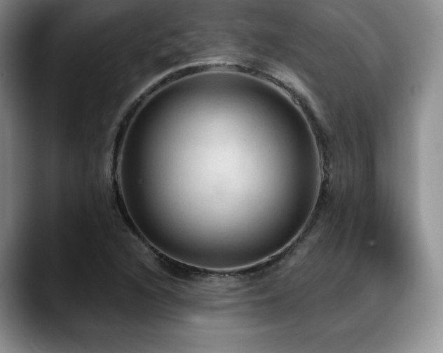X0000088851216200706081128