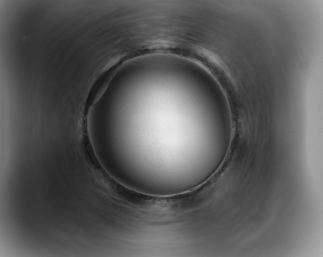 X0000088851217200706081128