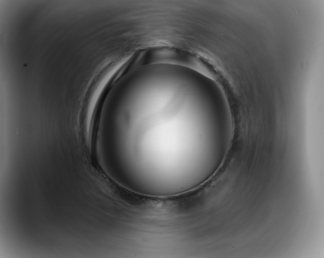 X0000088851218200706081128