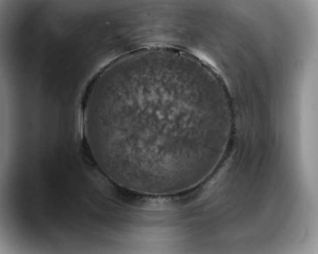 X0000088851219200706081128