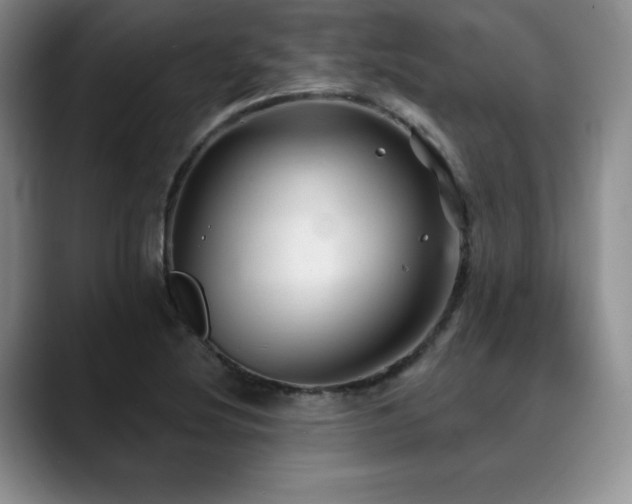 X0000088851220200706081128
