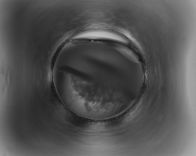 X0000088851221200706081129