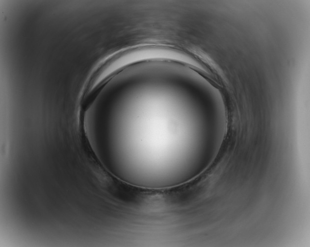 X0000088851222200706081129