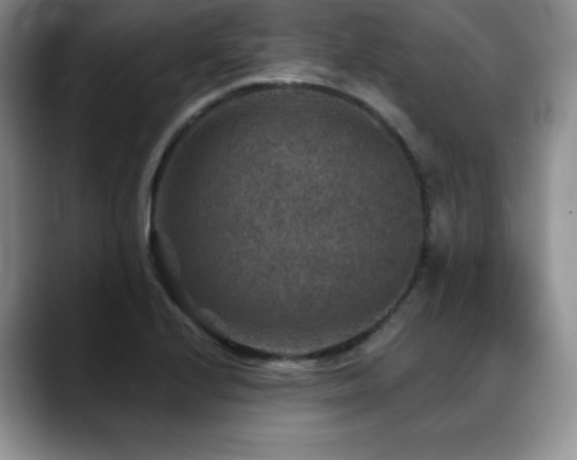 X0000088851224200706081129