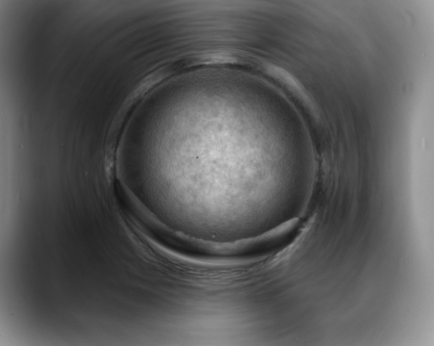 X0000088851225200706081129