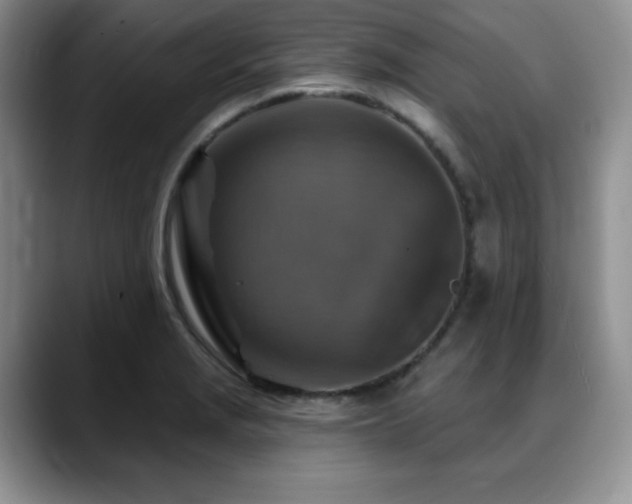 X0000088851229200706081129