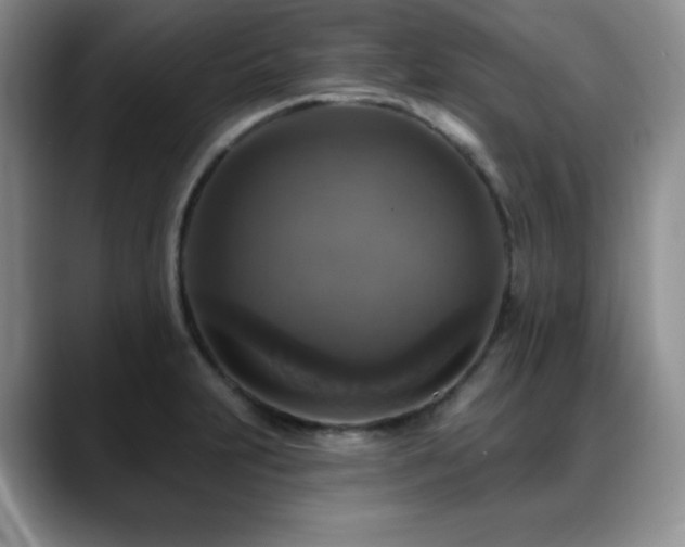 X0000088851231200706081129