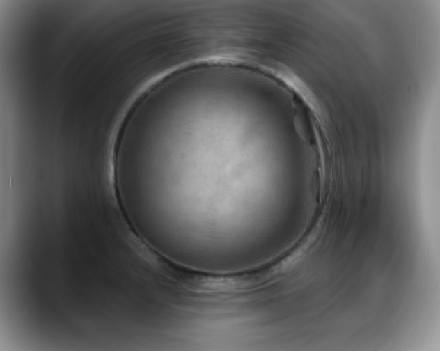 X0000088851232200706081129