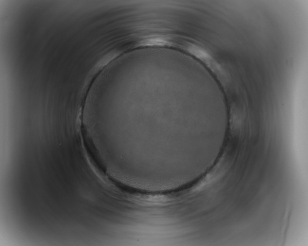 X0000088851233200706081129