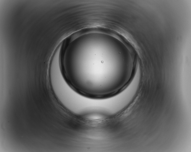 X0000088851234200706081129