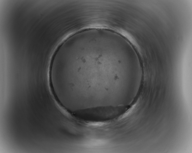 X0000088851237200706081129