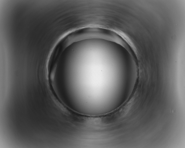 X0000088851238200706081129