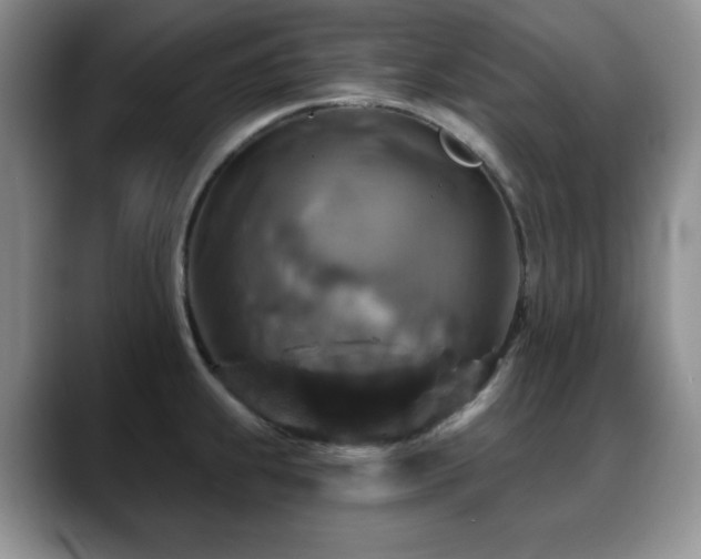 X0000088851239200706081129
