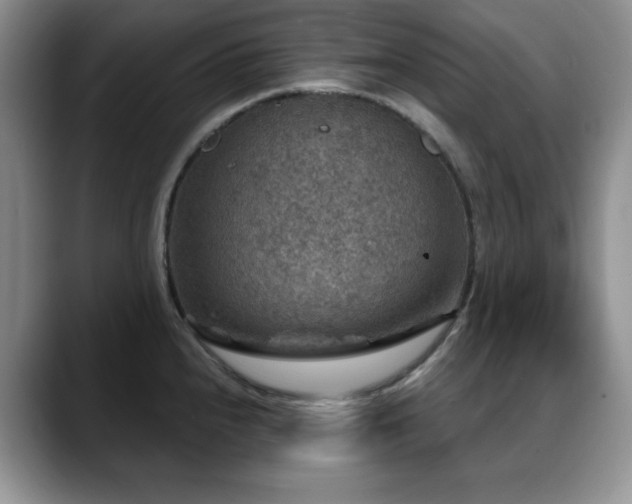 X0000088851240200706081129