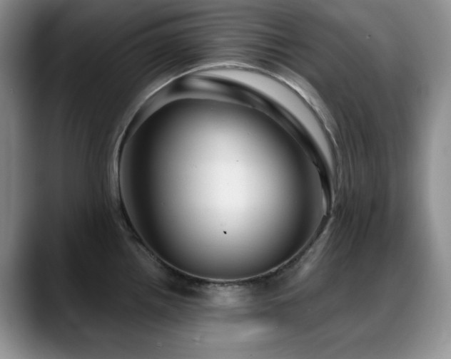 X0000088851242200706081129