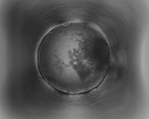 X0000088851243200706081129