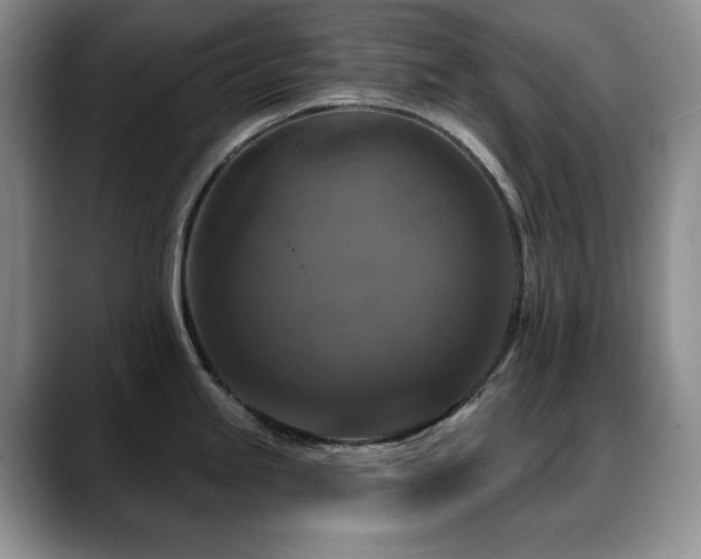 X0000088851245200706081129