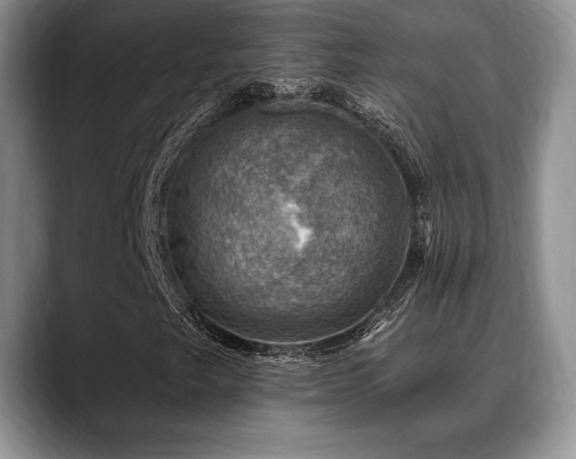 X0000088851249200706081128