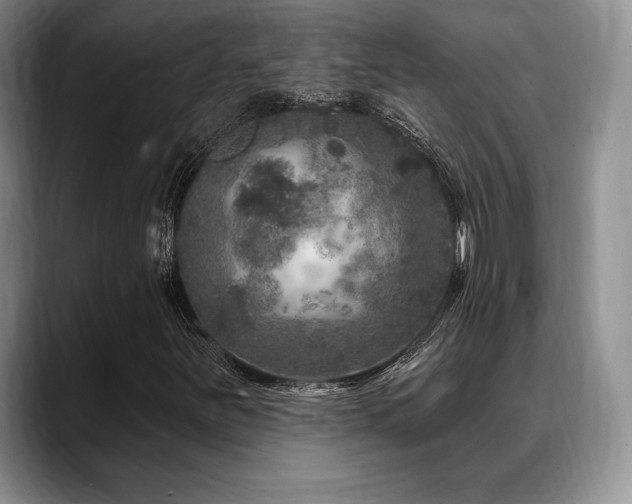 X0000088851251200706081128