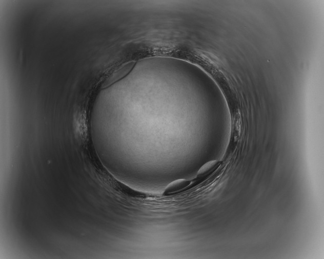 X0000088851252200706081128