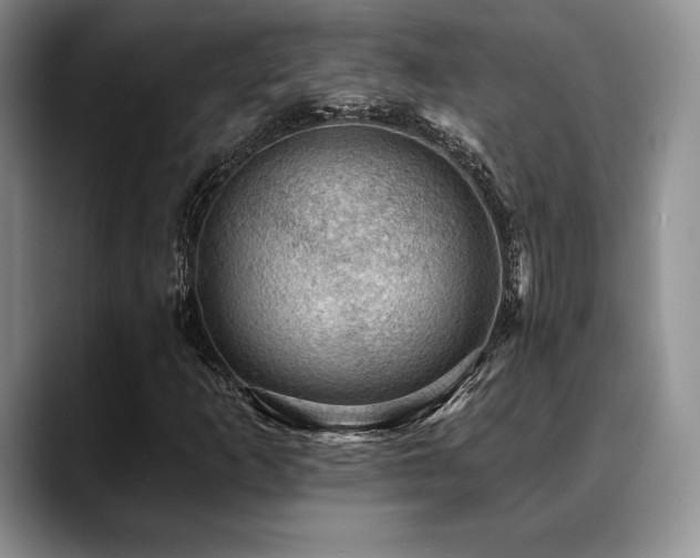 X0000088851253200706081128