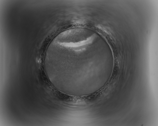 X0000088851254200706081128