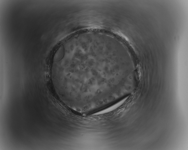 X0000088851255200706081128