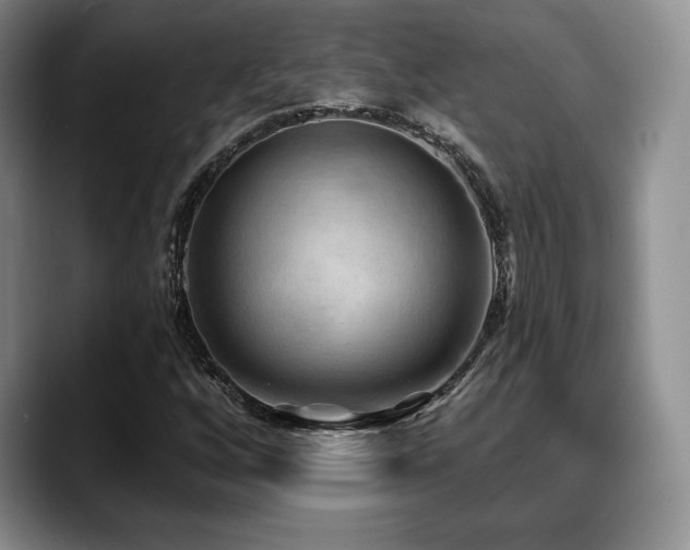 X0000088851256200706081128