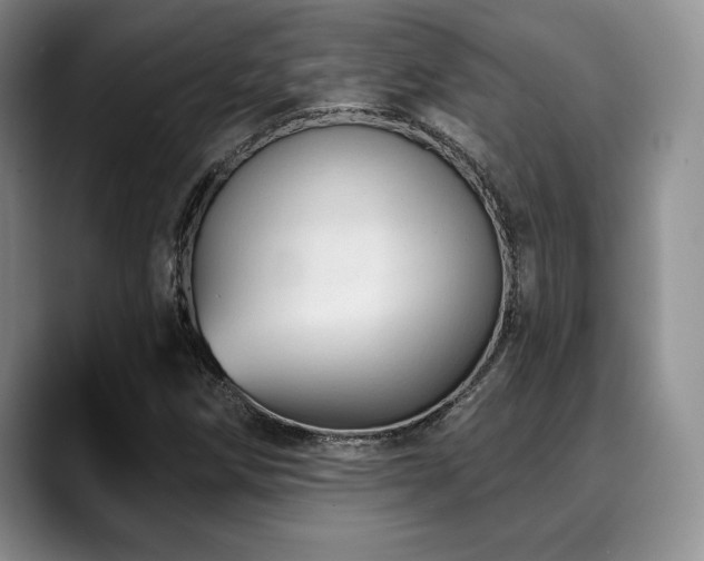 X0000088851258200706081128
