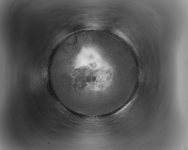 X0000088851259200706081128