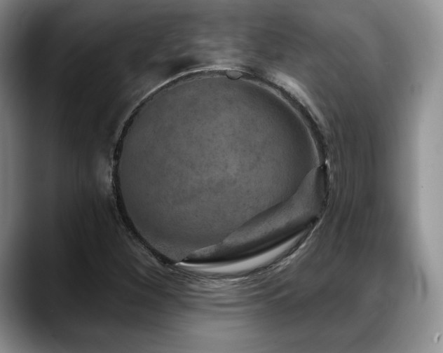X0000088851260200706081128