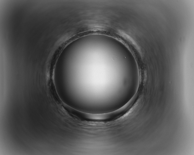 X0000088851261200706081128