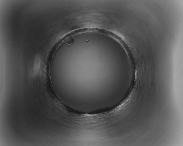 X0000088851263200706081128
