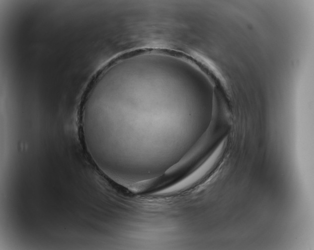 X0000088851264200706081128