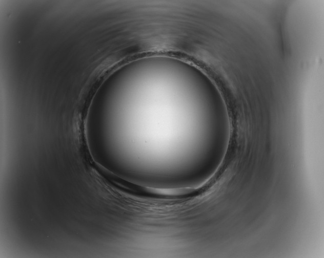 X0000088851265200706081128