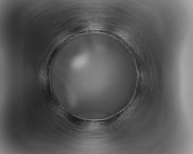 X0000088851266200706081128