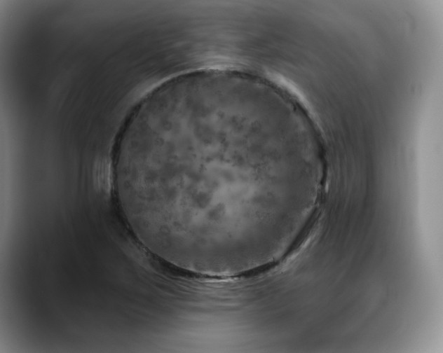 X0000088851267200706081128