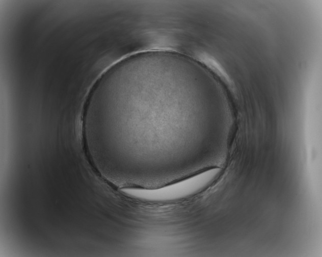 X0000088851268200706081128