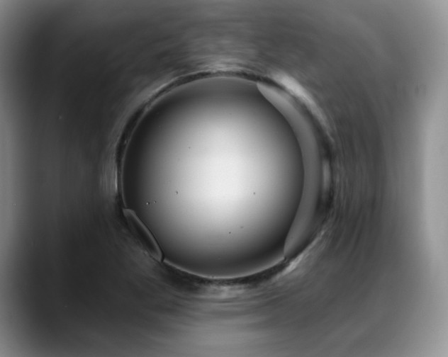 X0000088851269200706081128